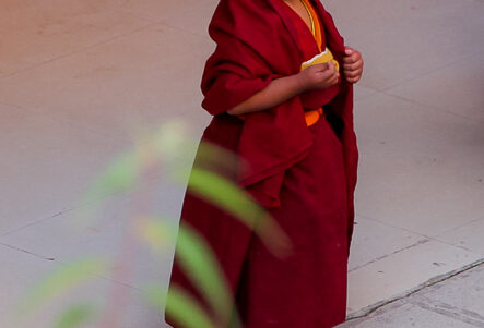 Yunnan-88