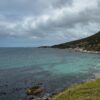Dall’altra parte del mondo: la folle bellezza di Capo di Buona Speranza (guida a sinistra compresa!): Parte 2